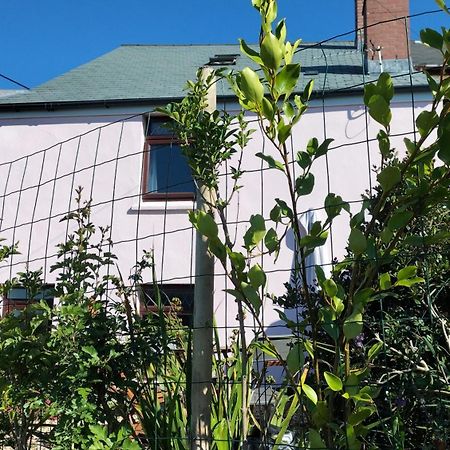 Clearview Cottage Сент-Остелл Екстер'єр фото